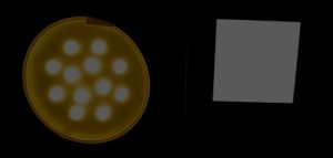 Switch ON See different between can see LED and cannot see LED 300x143 Lighting Special Deals: LED Downlights